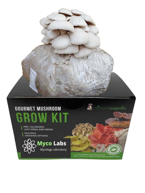 Pearl Oyster Mushroom Grow Kit (5lbs)