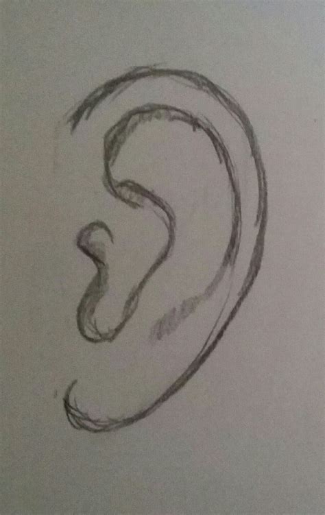 How To Draw A Simple Ear at How To Draw