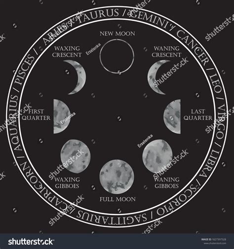 Moon Phases Illustrations Zodiac Signs Astrological Stock Vector ...