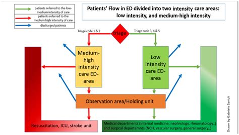 Level Triage Algorithm