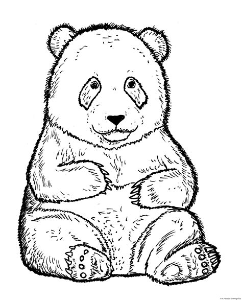 Giant Panda coloring page – Line art illustrations