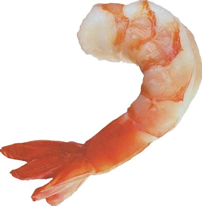 Shrimps Clip Art PNG Transparent Background, Free Download #34970 - FreeIconsPNG