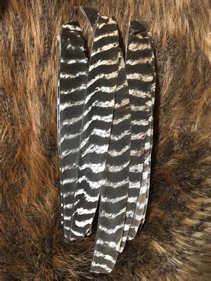 Natural Barred Turkey Feathers - Wapiti Archery POC