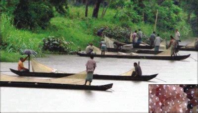 AMAZING BANGLADESH: HALDA RIVER