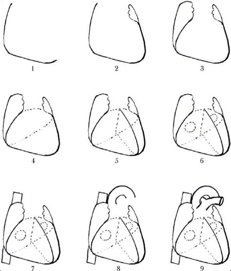 human heart drawing simple step by step - Macroscopic Blogging Picture ...