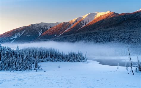 2560x1600 Resolution Forest Snowy Winter Mountains 2560x1600 Resolution ...