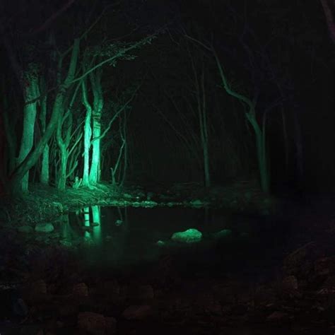 6 Best Flashlights for Hunting and Tracking Deer - Outdoors Hunt