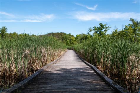 Valens Lake - Ontario’s Conservation Areas