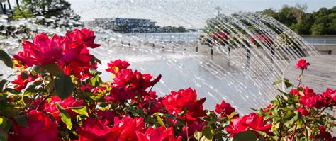 Fountain - Friends of Georgetown Waterfront Park