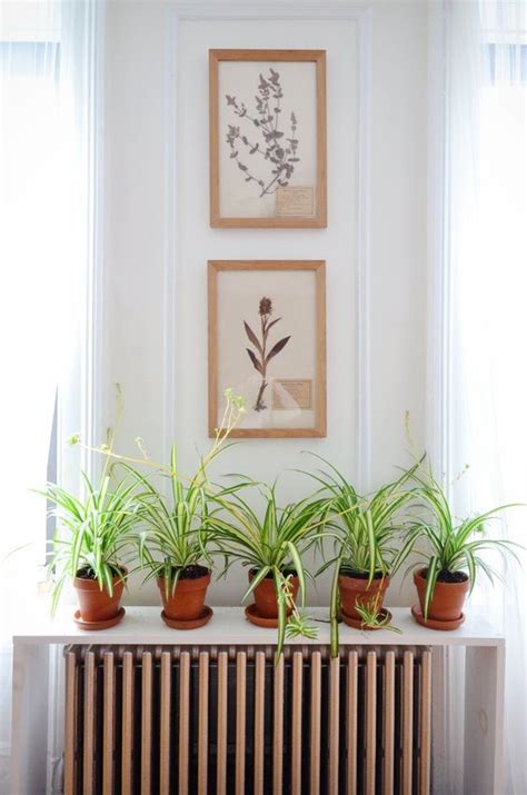 24 Cool Shelf Ideas To Embrace Your Radiator - Shelterness