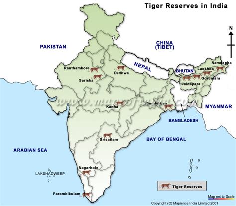 Sariska Maps, Sariska Tourist Map, Travel Map of Sariska, Sariska Map ...