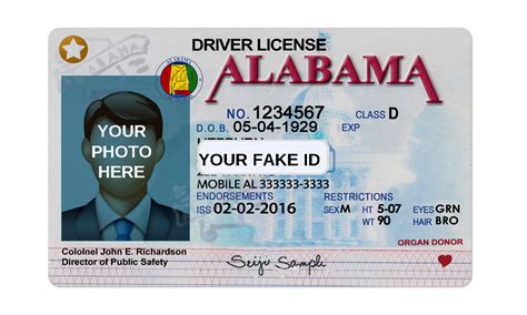 Alabama Fake ID Template – Your Fake ID Templates