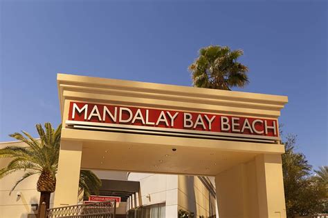 Mandalay Bay Beach: Concerts, Daylight Beach Club, & 6 Questions Answered