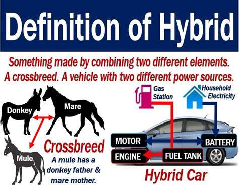 Hybrid - definition and meaning - Market Business News