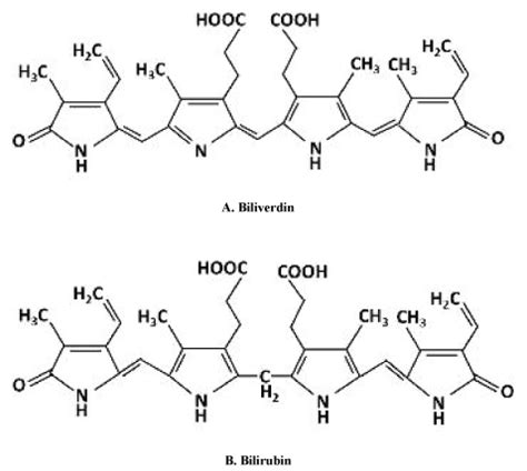 The chemical structures of A) biliverdin