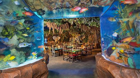 Aquarium passageway opening onto main dining floor at Rainforest Cafe