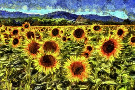 Sunflower Field Van Gogh Mixed Media by David Pyatt - Pixels