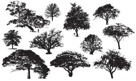 Black And White Tree Vector Art, Icons, and Graphics for Free Download