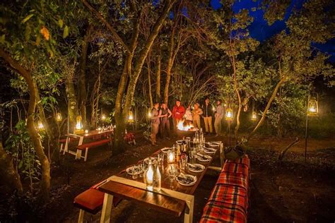 Best Kenya Safari Lodges | Best Hotels in Kenya for Wildlife Tours