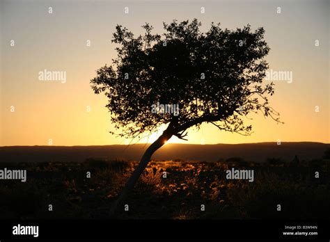 Sunset in Fish River Canyon, Namibia Stock Photo - Alamy