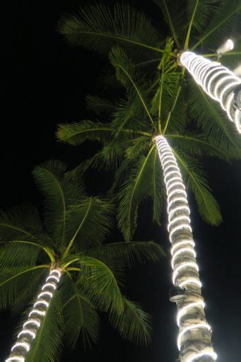 Illuminating Rope Lighting Ideas For Outdoors ~ Bless My Weeds