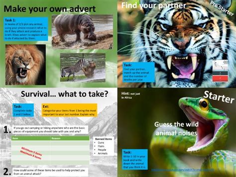 Survival / Animal Attack Lesson | Teaching Resources