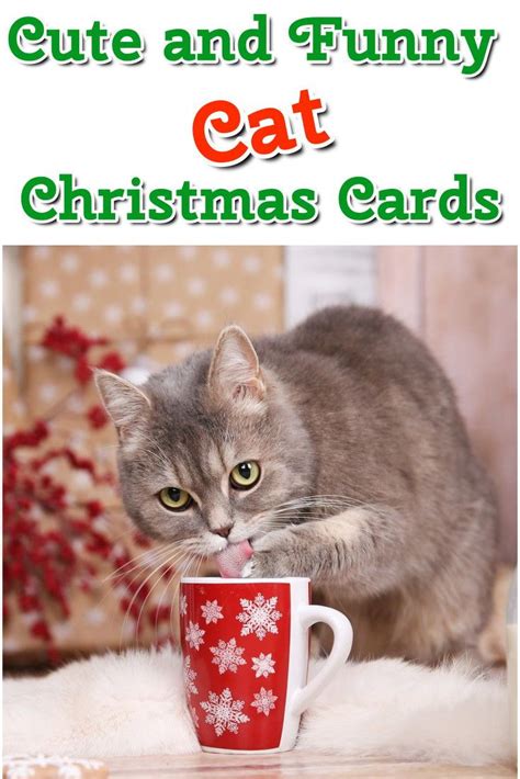 Send your family and friends a cute Cat Christmas card this Holiday ...