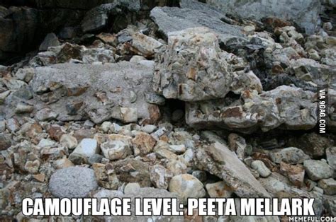 .. Camouflage Level: Peeta Mellark - 9GAG