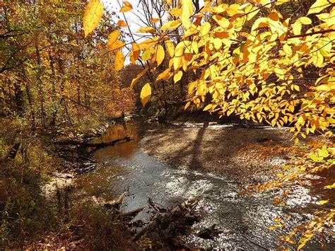 Rock Creek Park - Family