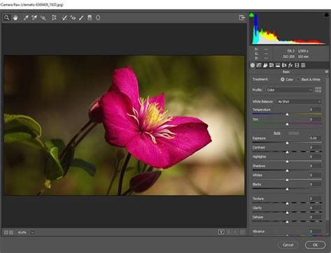 Photo Editing - How to Edit RAW images using Adobe Camera RAW ...