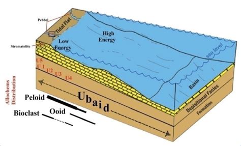 -Schematic representation showing a block diagram of the depositional ...