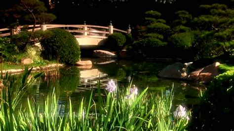 Zen Garden Flowers - Relaxation, Meditation, Mindfulness Full Length on Make a GIF