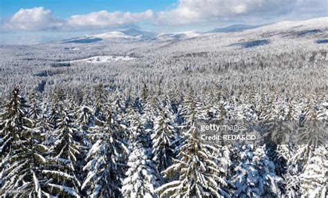 National Park Bavarian Forest in the deep of winter. View towards ...