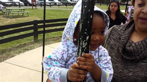 Frying Pan Farm Park carousel ride - YouTube