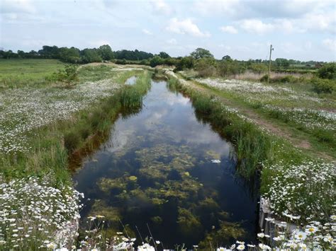 Narrowboat Caxton: The Droitwich Canal, nearly open again..