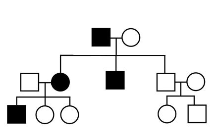 Alzheimer's disease and genes | Alzheimer's Society