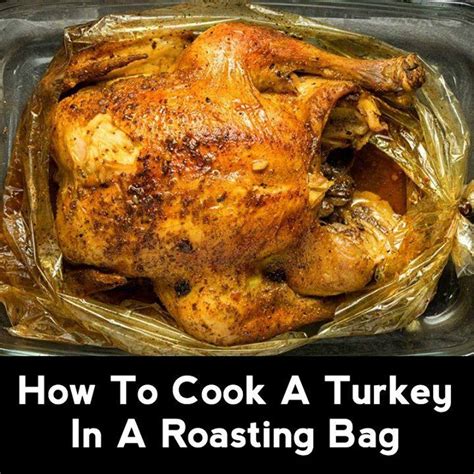 How To Cook A Turkey In A Roasting Bag – Page 2 – 99easyrecipes