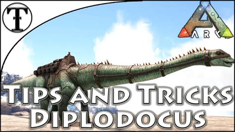 Fast Diplodocus Taming Guide :: Ark : Survival Evolved Tips and Tricks - YouTube