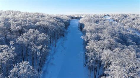 Aerial View Of Forest With Snow · Free Stock Video