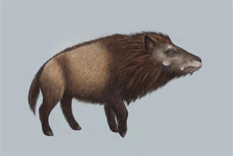 Entelodont by Joel Richard Briggs | Prehistoric world, Extinct animals, Paleo art