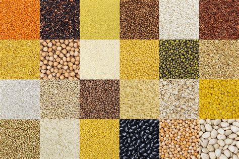 FSSAI framed comprehensive group standard for 15 types of millet - Food ...