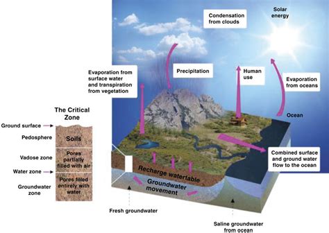 1 The diagram illustrates the extent of the Critical Zone from the top... | Download Scientific ...