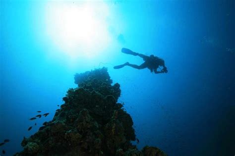 Scuba Diving in Coron, Palawan | Travel Guide