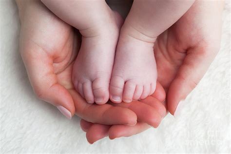 Newborn baby feet in mother's hands. Child care, feeling safe, protect. Photograph by Michal ...