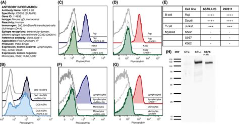 Relevance of Antibody Validation for Flow Cytometry - Kalina - 2020 - Cytometry Part A - Wiley ...