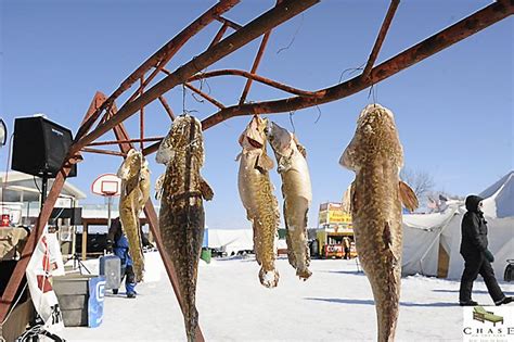 Northern Minnesota’s famed Eelpout Festival may leave – Twin Cities