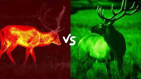 Thermal Scope vs Night Vision: What to Choose?