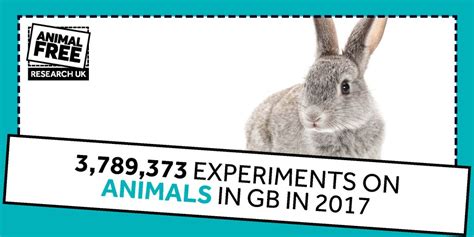 Animal experiments in GB: 2017 statistics - Animal Free Research UK