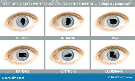 A Set Of Close-ups Of An Eye With The Pupil In The Shape Of ... Stock Photo - Image: 42634885