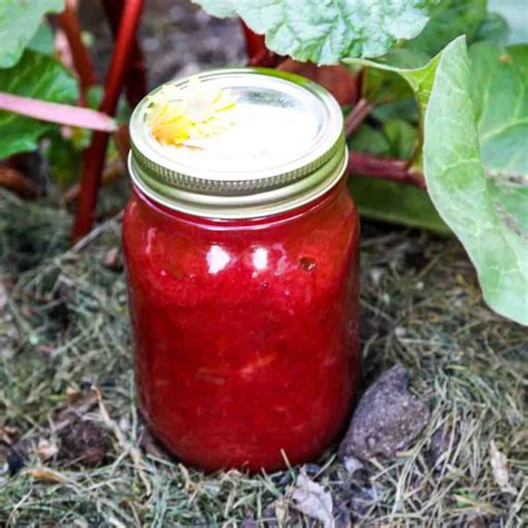 Simple Rhubarb Jam - Homemade Rhubarb Jam | The Food Blog